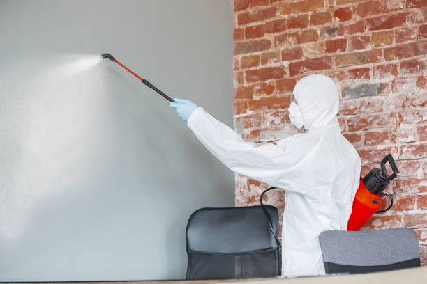 Best Comprehensive Air Testing for Mold Contaminants  in Hillsborough, NJ