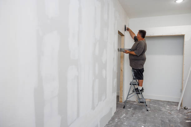 Best Mold-Related Health Consultation  in Hillsborough, NJ